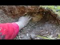 Hidden Treasure Found While Digging?!