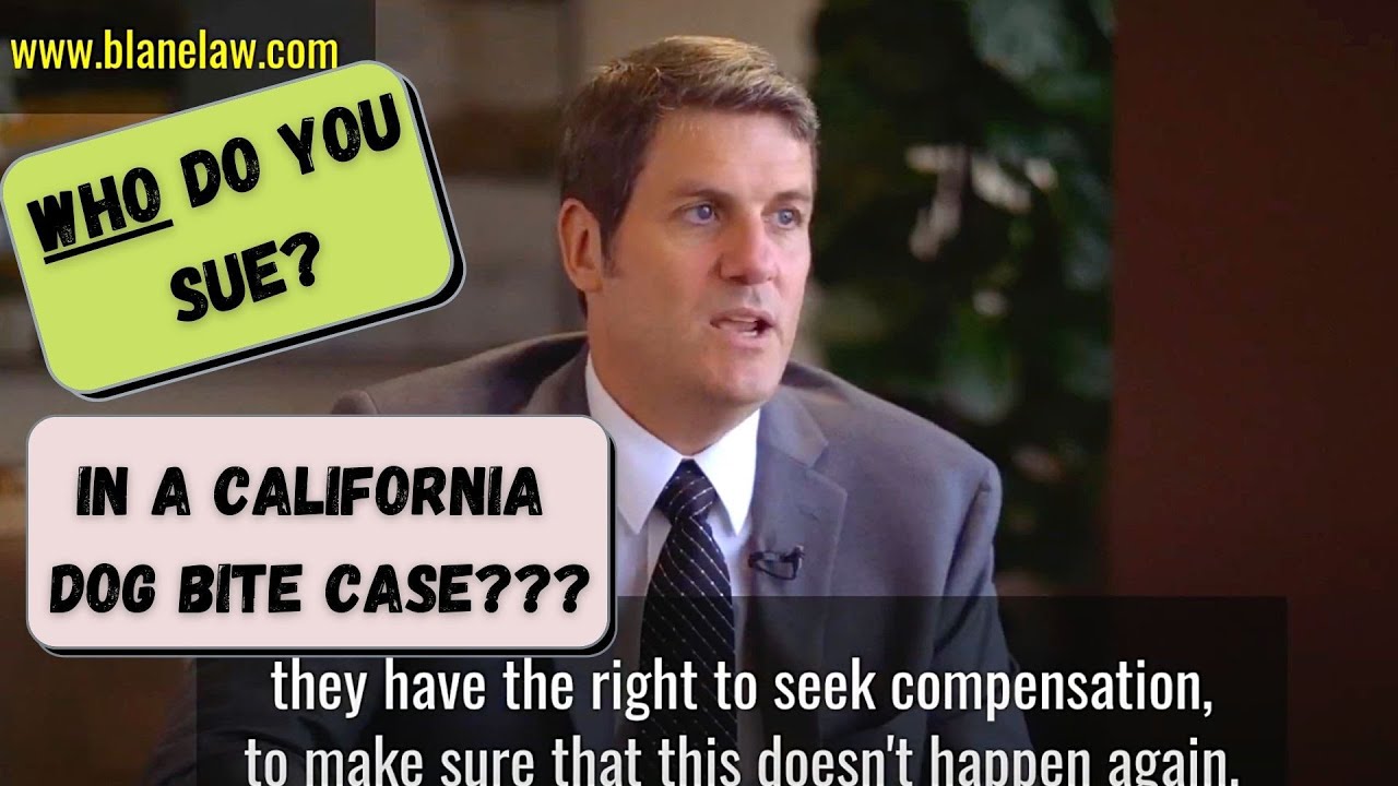 What Kind Of Insurance Do You Need To Look For In A California Dog Bite Injury Case?