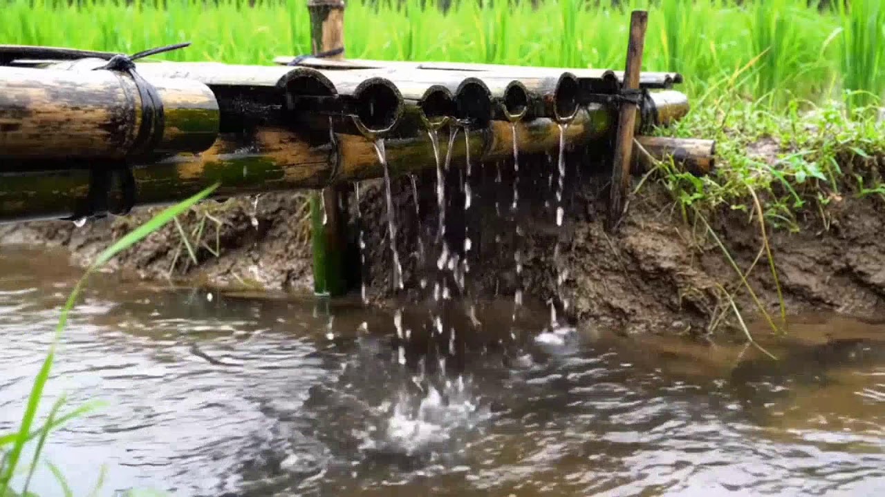 the sound of flowing water for a peaceful sleep every night-leep every night, calming water.