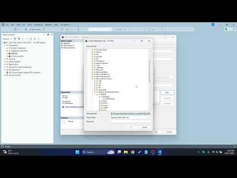 How to Backup a Database in SQL Server Management Studio (SSMS) 2025 Guide