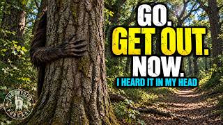 GO, GET OUT NOW!!   -  Ep. 219 - September 16, 2026