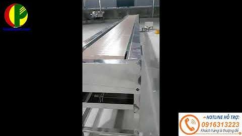 Băng Tải Xích Nhưa, Dùng Trong Sản Xuất Thực Phẩm, Đóng Chai