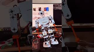 Can Gpt6 Take Over Robot Control Via These 5 Interfaces?