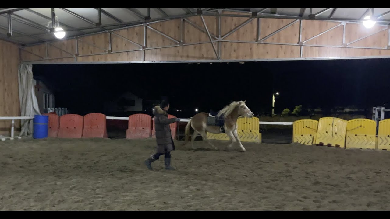 Natural Horsemanship Vs Traditional Methods Natural Horsemanship Vs Traditional Methods