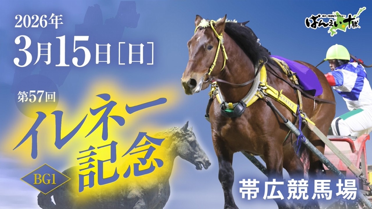 11/27追記）帯広市ふるさと納税コラボ企画「邪神ちゃんドロップキック