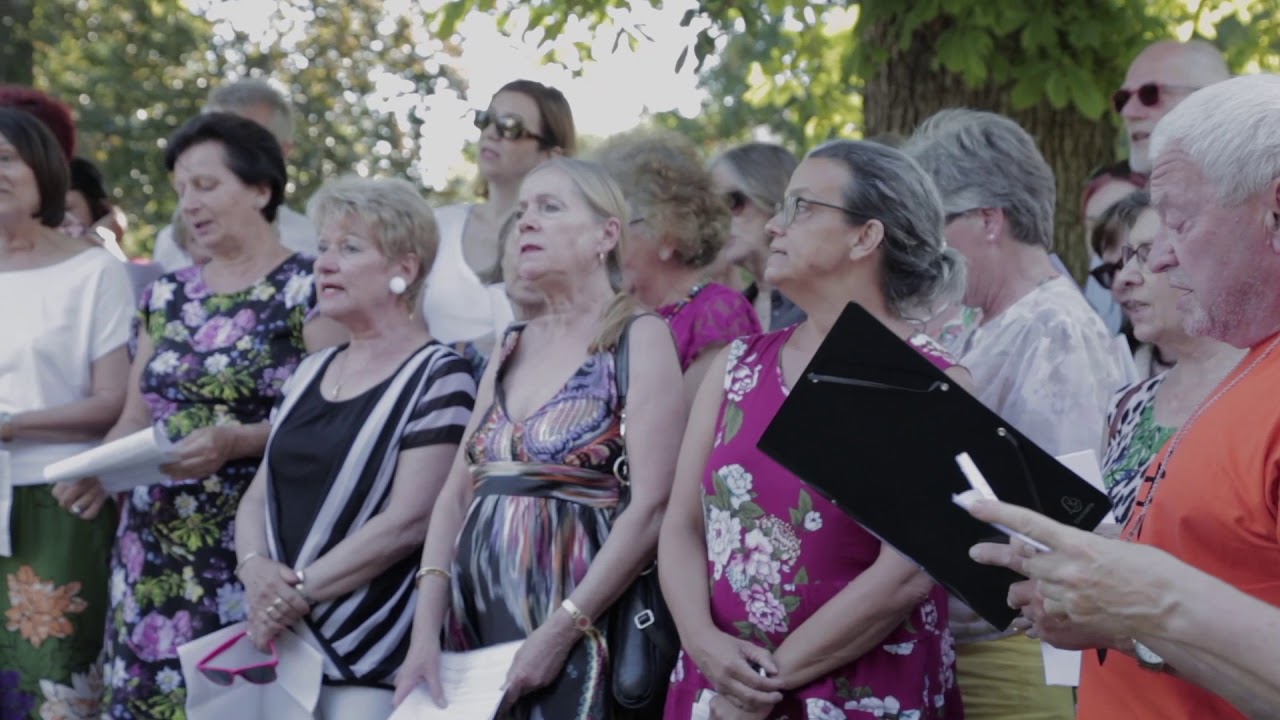 Tulpen aus Amsterdam