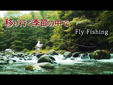 フライフィッシングの一年【2024】渓流Fly Fishing総集編 - YouTube