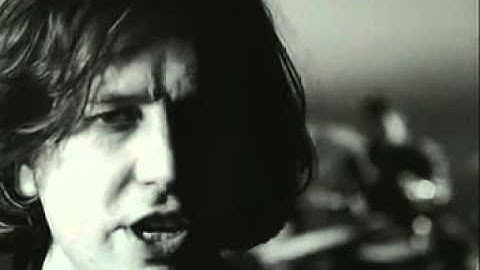 David McComb - Setting You Free