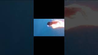 Amyra Dastur Hot Bikini Swimming