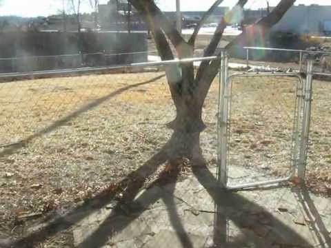 511 Eastborough lane, Lincoln, NE home video tour