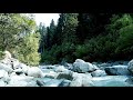 Calming Turquoise Forest River. Relaxing Water Sounds. (10 hours Nature ). White Noise for Sleeping.