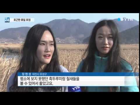 포근한 휴일...철새 '관찰'·바닷물에 '풍덩' / YTN