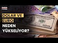 Dövizdeki yükseliş ne kadar sürer? Prof. Dr. Oral Erdoğan yanıtladı