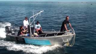 Two Years Of The Catlin Seaview Survey