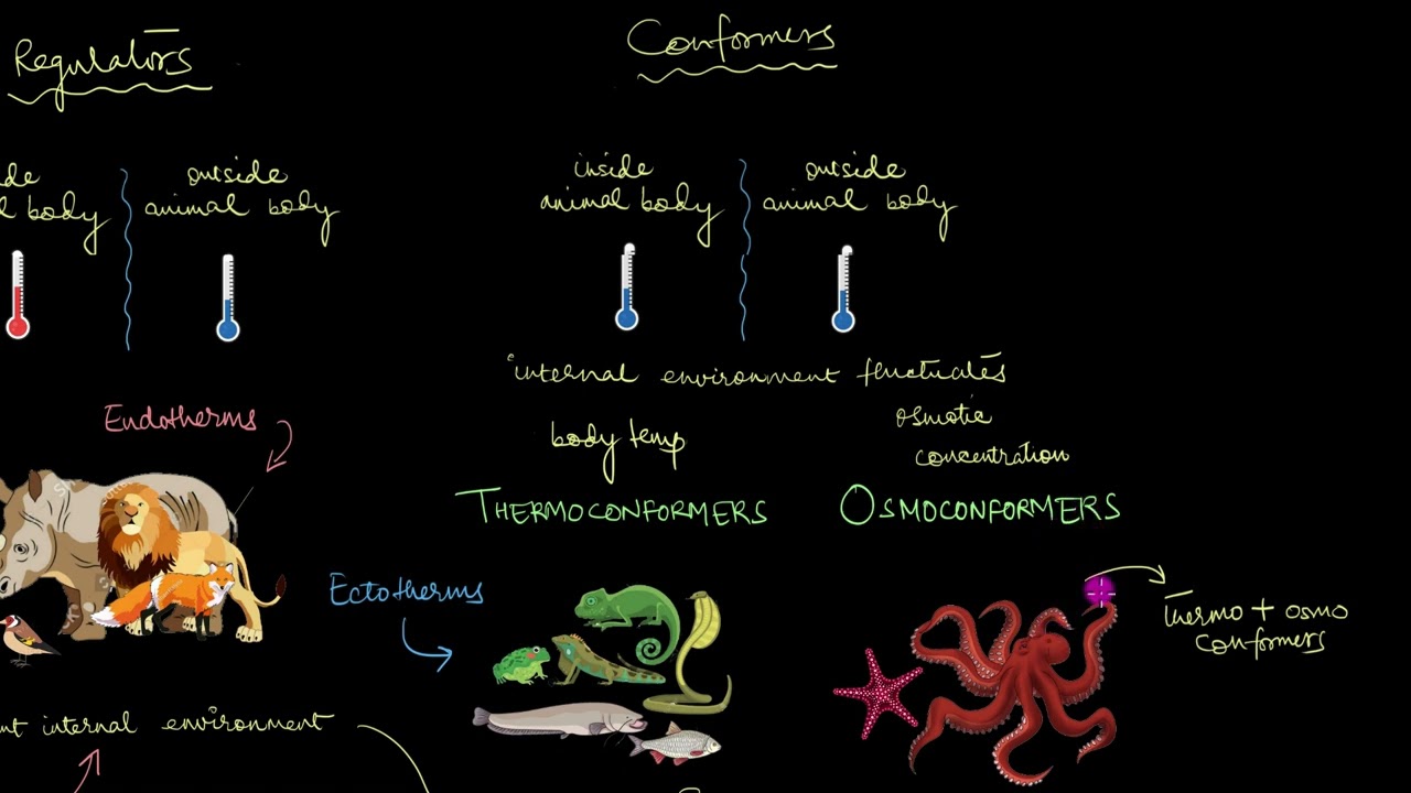 Responses to abiotic factors | Organisms and Populations | Biology | Khan Academy