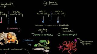 Responses to abiotic factors | Organisms and Populations | Biology | Khan Academy