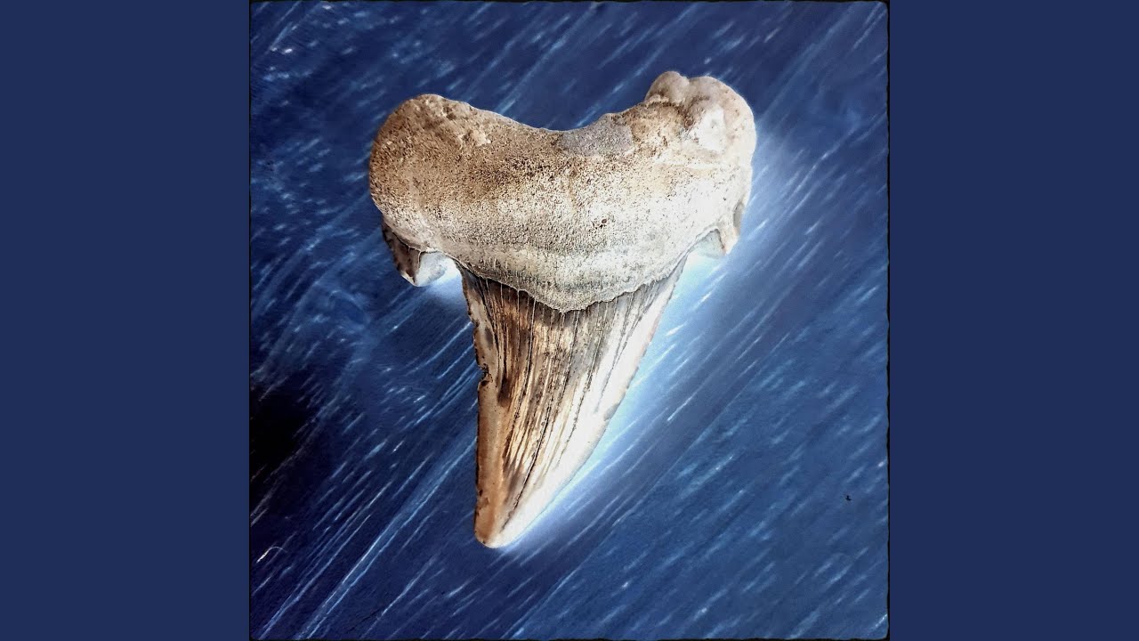 Watch Toothpik on YouTube Watch Toothpik on YouTube