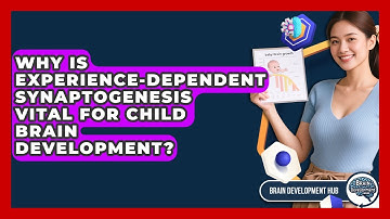 Why Is Experience-dependent Synaptogenesis Vital For Child Brain Development?