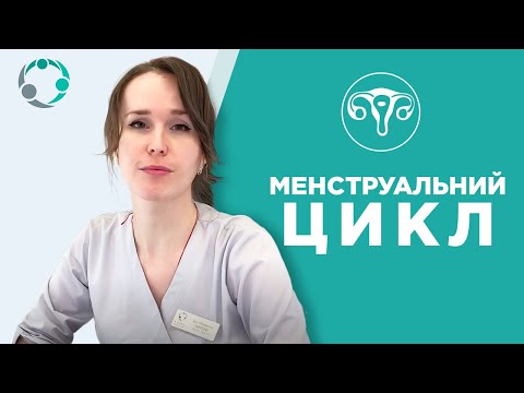 🩸 Менструальний цикл: все про місячні