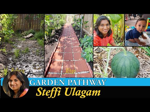 Garden Pathway Decoration Vlog in Tamil | Watermelon from Garden