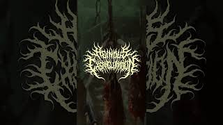 New music by Heinous Exsanguination? 👀 | #Shorts #BrutalDeathMetal #SlammingDeath #teaser