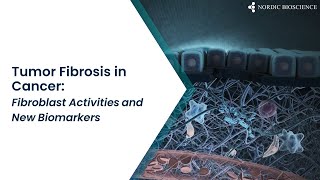 Webinar | Tumor Fibrosis in Cancer: Fibroblast Activities and New Biomarkers