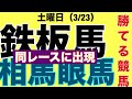 【裏開催で勝負馬】叩いて完全に勝てる体制になってる、初レースでも好勝負馬とは？ #競馬 #けいば #関係者 #情報 #race