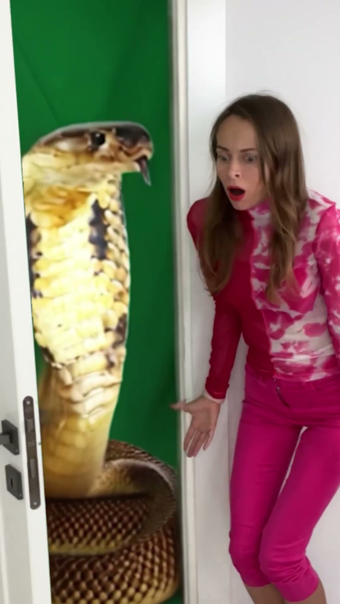 Best Open door ? #shorts TikTok by Anya Kova