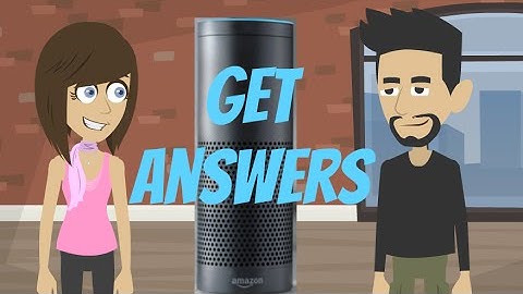 My Amazon Echo Won