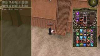 Last Chaos Glitch