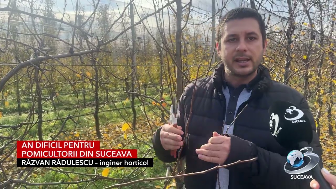 Cum determinam productia de mere în 2026? Calculul recoltei pentru pomicultori - Antena 3 Suceava