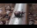 Collection of interesting videos season 2