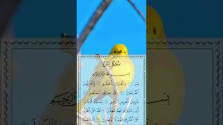 🌙 Surah Yaseen Beautiful Recitation ❤️ | Heart Touching Quran Short ✨ #Shorts