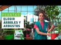 Rboles y arbustos de jardn cmo elegirlos y sus cuidados  plantas y jardines en verdecora