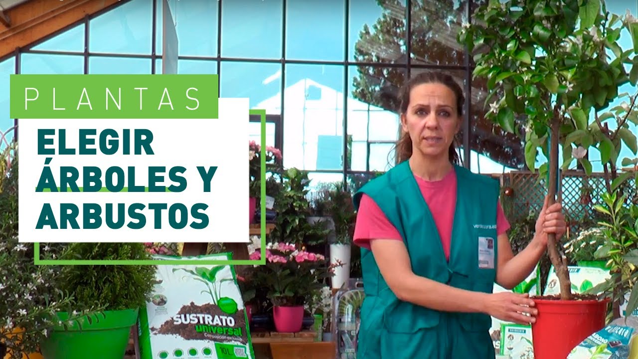 Árboles y arbustos de jardín: cómo elegirlos y sus cuidados | Plantas y  jardines en VERDECORA - YouTube