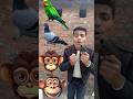 Rounding pomelos to Duck, Peacock, Pigeon & Parrot - Birds names magic video #shorts #shortfeed