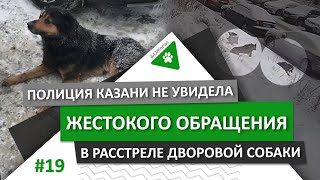 #АЗЖnews: Полиция Казани не увидела жестокого обращения в расстреле дворовой собаки