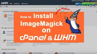 🔴LIVE Install ImageMagick on WHM cPanel