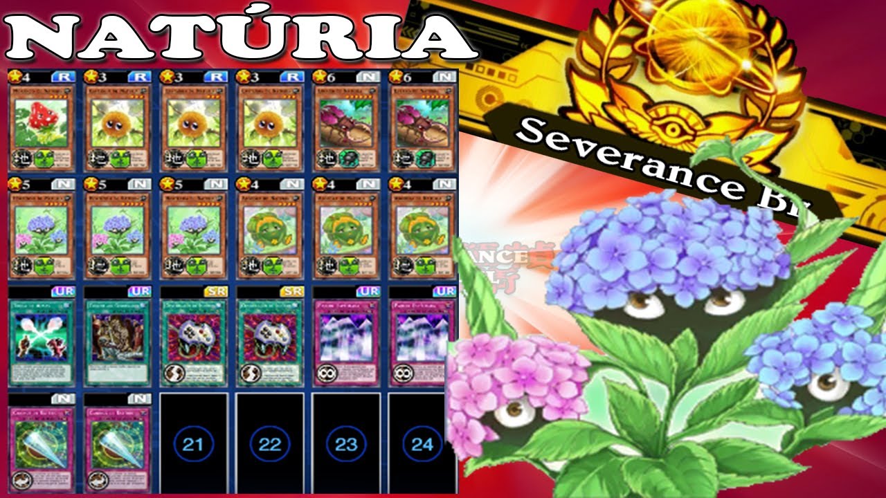 yu gi oh duel links naturia deck Amazon.com: Generic Complete Custom Deck for Yu-Gi-Oh!
