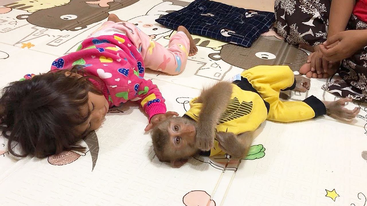 Smart Jason Adored Innocent When Sister Satya Tenderness Take Care