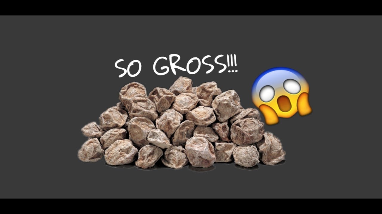 Sourest Fruit in the World?!?! Funniest Eating Challenge Ever!!!! YouTube