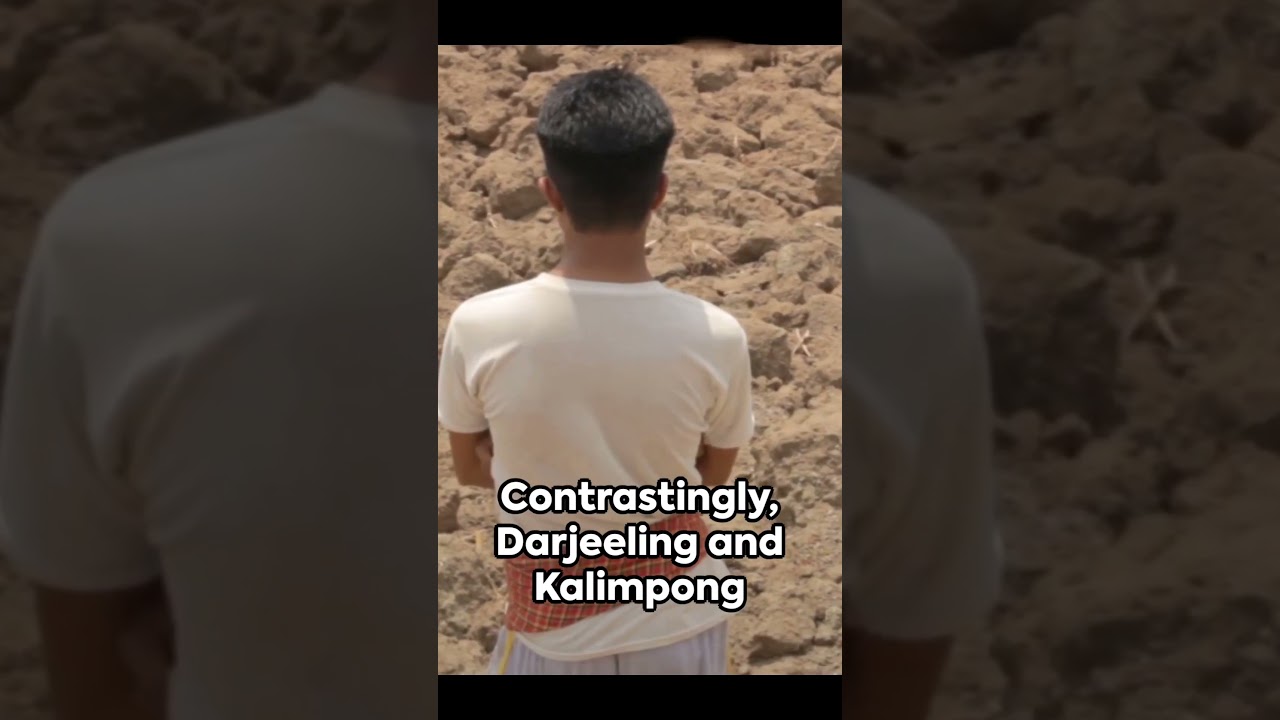 Bengal weather: Heatwave on, red alert in 7 districts 