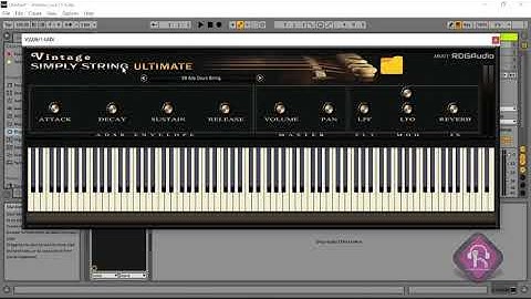 Install #RDGAudio Vintage Simply String Ultimate 2 Ableton Live 11 Win VST