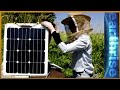 Fighting insectageddon: Why bugs matter - earthrise
