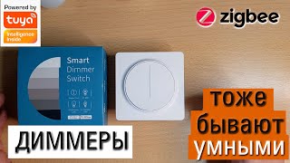 видео: Умное управление освещением с помощью диммера для экосистемы Tuya Zigbee. Обзор, разбор, подключение картинка: Умное управление освещением с помощью диммера для экосистемы Tuya Zigbee. Обзор, разбор, подключение
