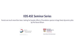 Testing for broader effects of foundation species in large forest-dynamics plots