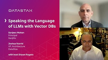 Speaking the Language of LLMs: How Vector Databases Empower AI