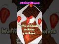 #shorts #follow #viral #food #youtubeshorts #foodlover #glutenfree #waffles #chocolate