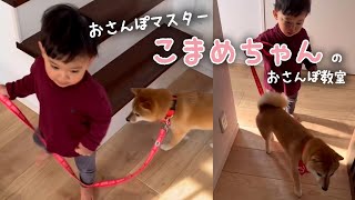 お散歩を教えてあげる柴さん|PECO