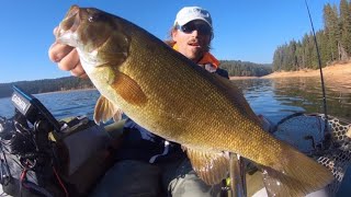 Best Places In California to Catch Smallmouth Bass (Top 10)